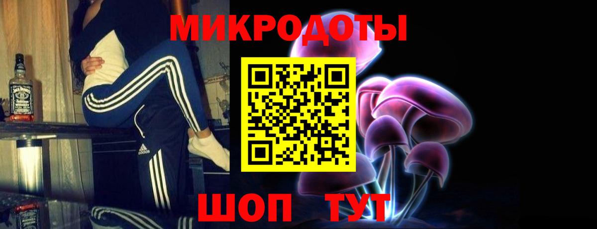 Галлюциногенные грибы Psilocybe Керчь